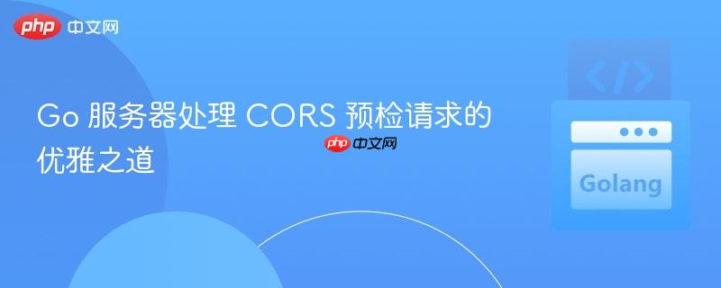 Go 服务器处理 CORS 预检请求的优雅之道
