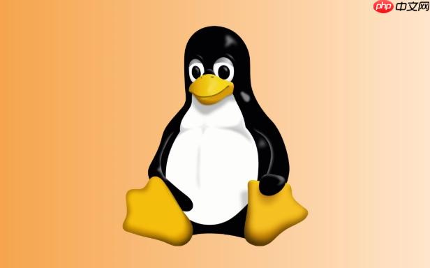 Linux curl 怎么发送 POST/JSON 请求？标准格式