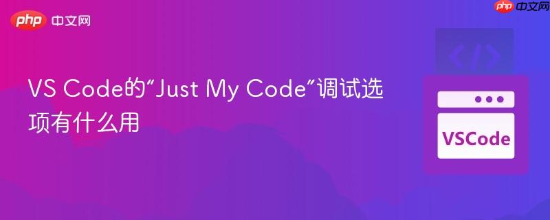VS Code的“Just My Code”调试选项有什么用
