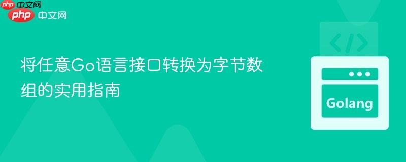 将任意Go语言接口转换为字节数组的实用指南 将任意Go语言接口转换为字节数组的实用指南