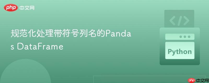 规范化处理带符号列名的Pandas DataFrame