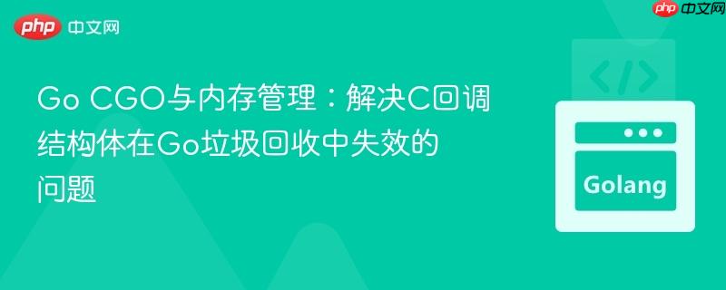 Go CGO与内存管理:解决C回调结构体在Go垃圾回收中失效的问题 Go CGO与内存管理:解决C回调结构体在Go垃圾回收中失效的问题
