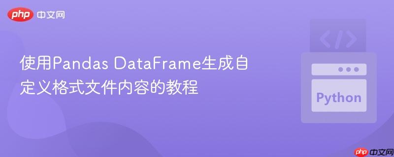 使用Pandas DataFrame生成自定义格式文件内容的教程 使用Pandas DataFrame生成自定义格式文件内容的教程