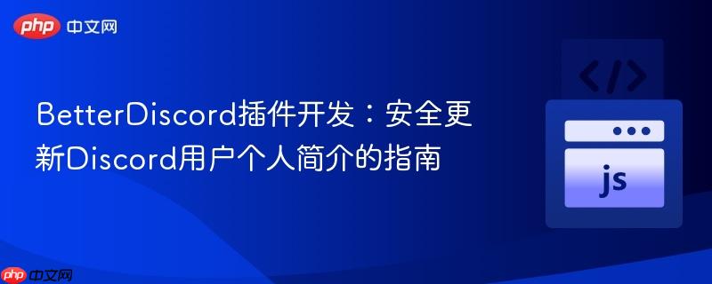 BetterDiscord插件开发：安全更新Discord用户个人简介的指南