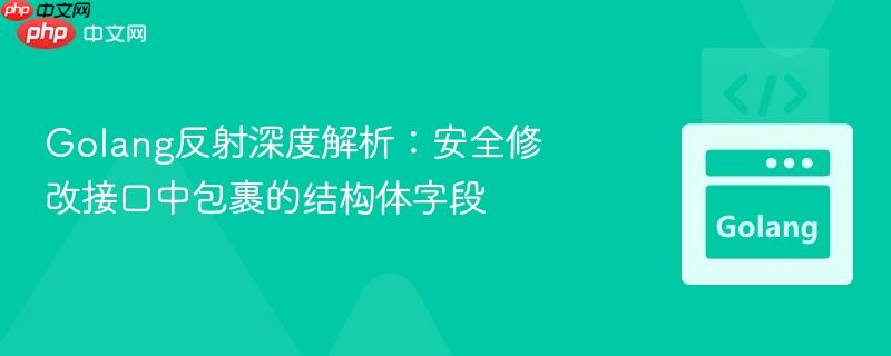 Golang反射深度解析:安全修改接口中包裹的结构体字段 Golang反射深度解析:安全修改接口中包裹的结构体字段