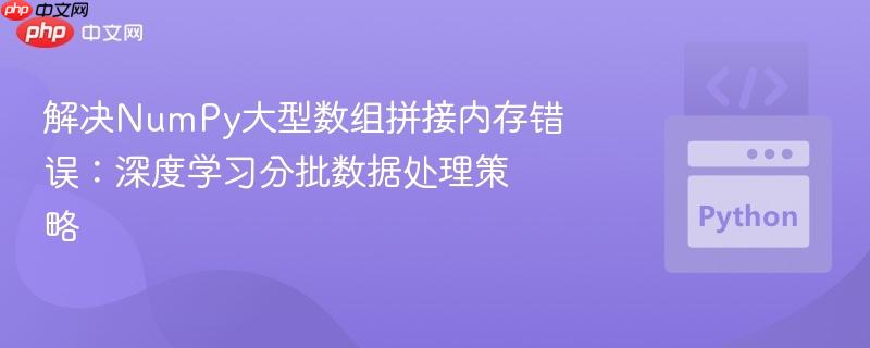 解决NumPy大型数组拼接内存错误:深度学习分批数据处理策略 解决NumPy大型数组拼接内存错误:深度学习分批数据处理策略