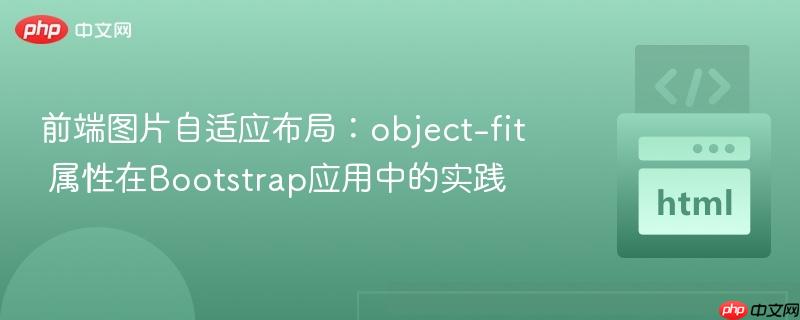 前端图片自适应布局：object-fit 属性在Bootstrap应用中的实践
