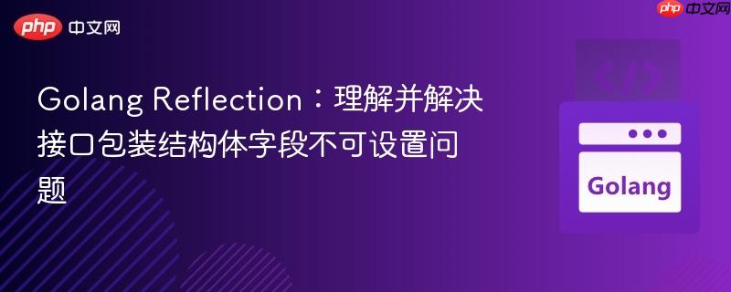 Golang Reflection:理解并解决接口包装结构体字段不可设置问题 Golang Reflection:理解并解决接口包装结构体字段不可设置问题