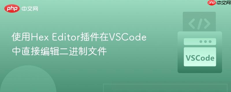 使用Hex Editor插件在VSCode中直接编辑二进制文件