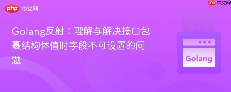 Golang反射：理解与解决接口包裹结构体值时字段不可设置的问题