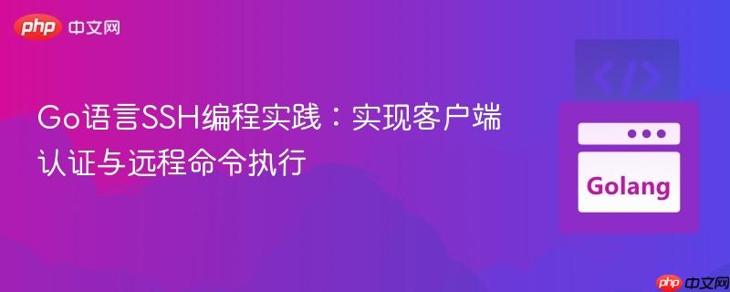 Go语言SSH编程实践:实现客户端认证与远程命令执行 Go语言SSH编程实践:实现客户端认证与远程命令执行