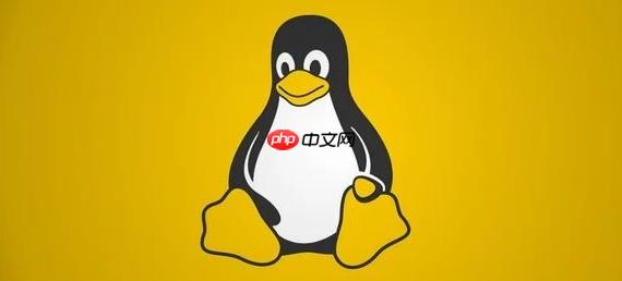 Linux Python环境配置教学_Linux多版本Python管理方法