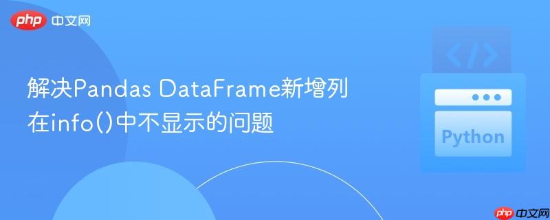 解决Pandas DataFrame新增列在info()中不显示的问题 解决Pandas DataFrame新增列在info()中不显示的问题