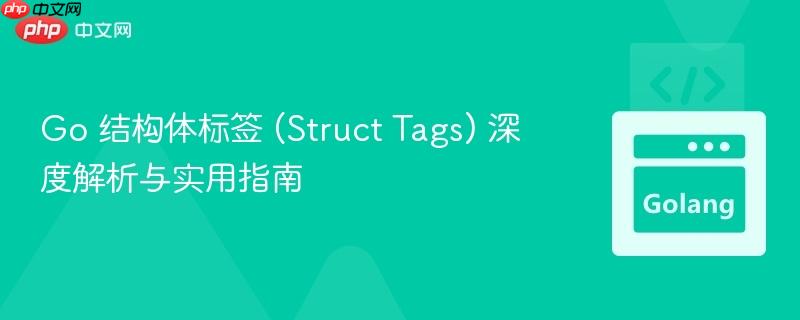 Go 结构体标签 (Struct Tags) 深度解析与实用指南 Go 结构体标签 (Struct Tags) 深度解析与实用指南