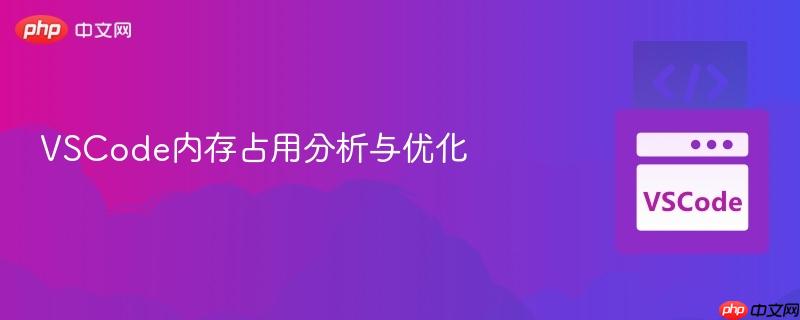 VSCode内存占用分析与优化 VSCode内存占用分析与优化