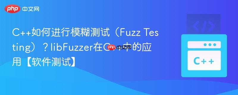 C++如何进行模糊测试（Fuzz Testing）？libFuzzer在C++中的应用【软件测试】