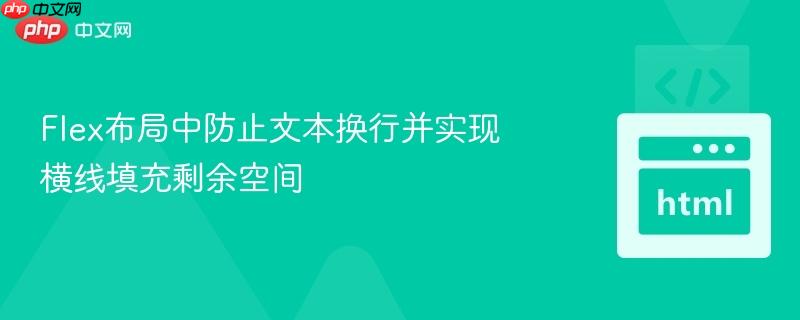 Flex布局中防止文本换行并实现横线填充剩余空间 Flex布局中防止文本换行并实现横线填充剩余空间
