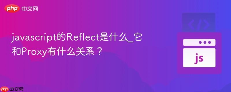 javascript的Reflect是什么_它和Proxy有什么关系? javascript的Reflect是什么_它和Proxy有什么关系?