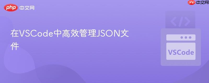 在VSCode中高效管理JSON文件
