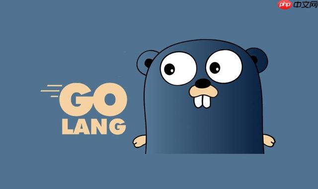 如何使用Golang判断函数返回值个数_结合reflect.Value分析 如何使用Golang判断函数返回值个数_结合reflect.Value分析