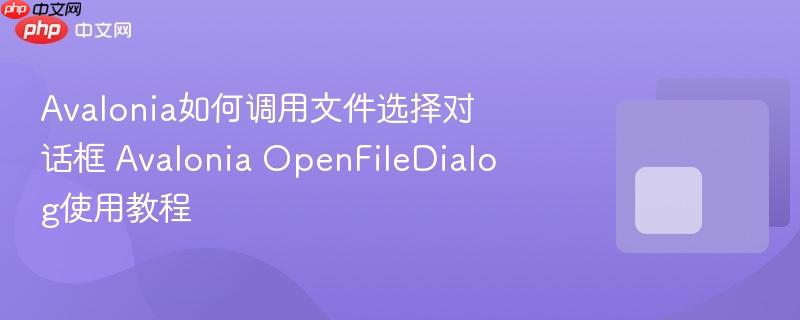 Avalonia如何调用文件选择对话框 Avalonia OpenFileDialog使用教程
