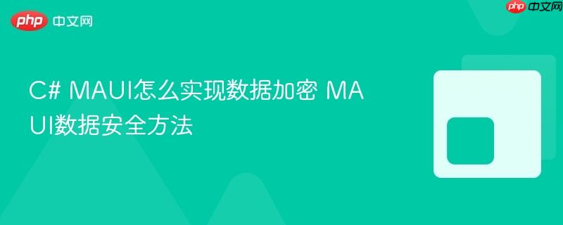 C# MAUI怎么实现数据加密 MAUI数据安全方法 C# MAUI怎么实现数据加密 MAUI数据安全方法