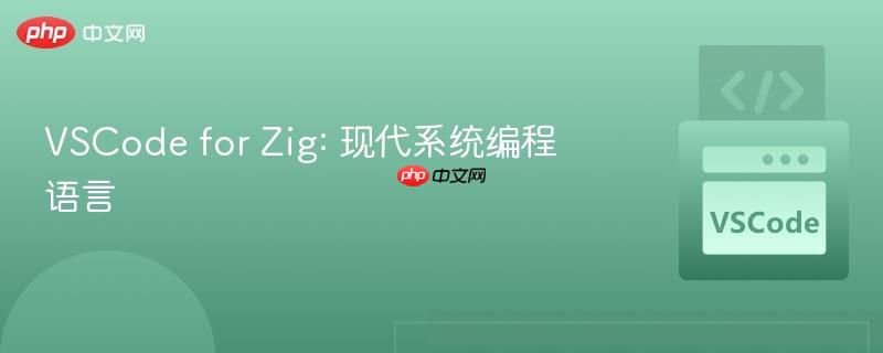 VSCode for Zig: 现代系统编程语言 VSCode for Zig: 现代系统编程语言