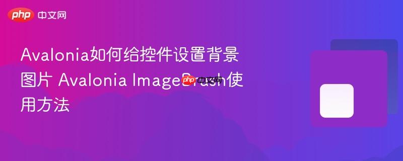 Avalonia如何给控件设置背景图片 Avalonia ImageBrush使用方法