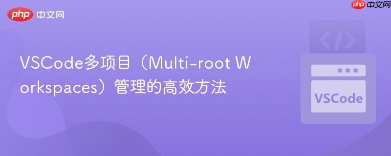 VSCode多项目（Multi-root Workspaces）管理的高效方法