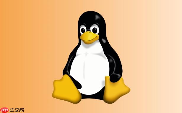 Linux环境变量如何配置_系统与用户级变量解析【指导】