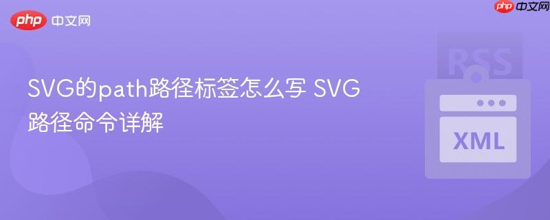 SVG的path路径标签怎么写 SVG路径命令详解