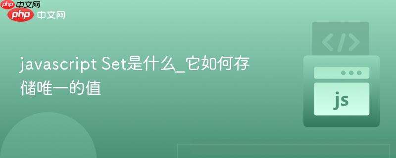 javascript Set是什么_它如何存储唯一的值