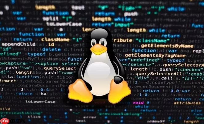 LinuxDNS解析慢怎么办_缓存与配置优化解析【技巧】