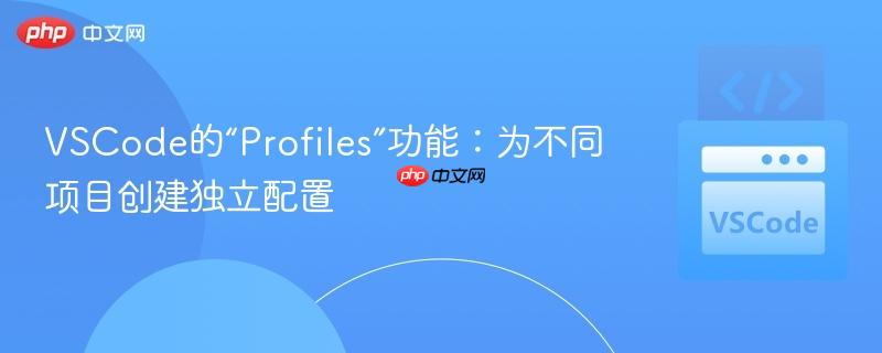 VSCode的“Profiles”功能：为不同项目创建独立配置