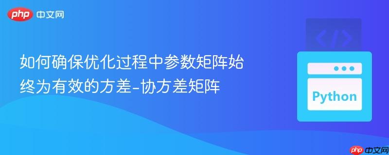 如何确保优化过程中参数矩阵始终为有效的方差-协方差矩阵 如何确保优化过程中参数矩阵始终为有效的方差-协方差矩阵