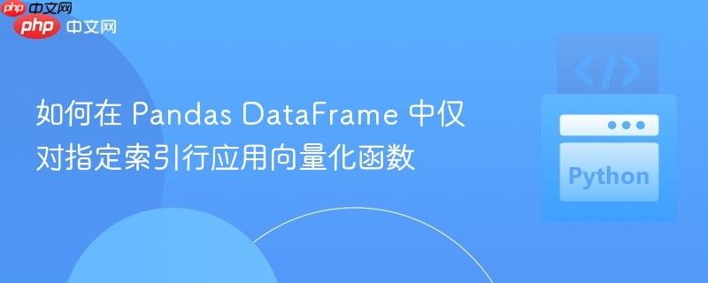 如何在 Pandas DataFrame 中仅对指定索引行应用向量化函数