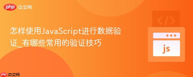 怎样使用JavaScript进行数据验证_有哪些常用的验证技巧
