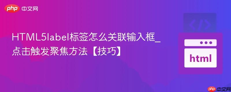 HTML5label标签怎么关联输入框_点击触发聚焦方法【技巧】