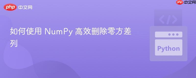 如何使用 NumPy 高效删除零方差列