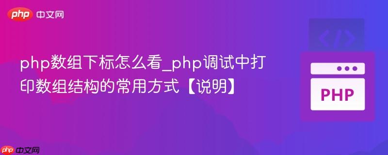 php数组下标怎么看_php调试中打印数组结构的常用方式【说明】