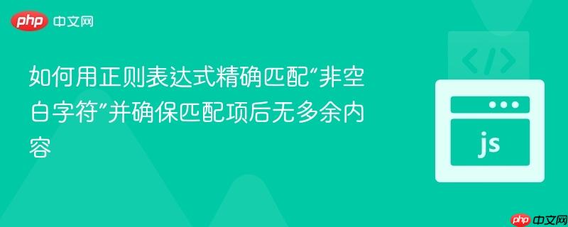 如何用正则表达式精确匹配“非空白字符”并确保匹配项后无多余内容