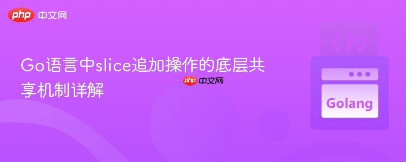 Go语言中slice追加操作的底层共享机制详解