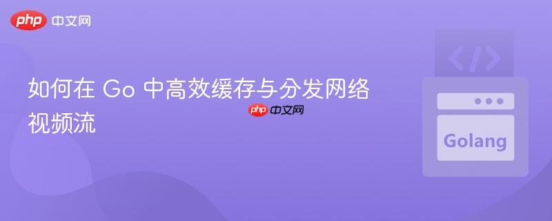 如何在 Go 中高效缓存与分发网络视频流