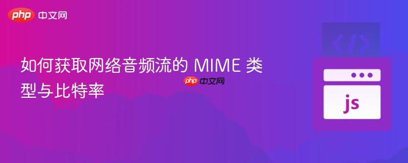 如何获取网络音频流的 MIME 类型与比特率