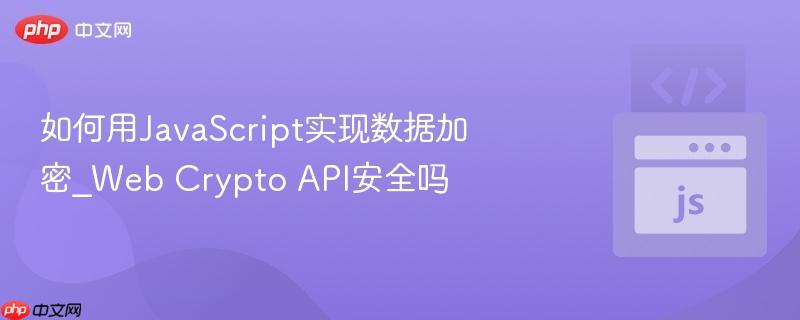 如何用JavaScript实现数据加密_Web Crypto API安全吗