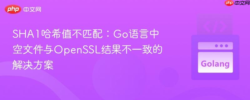 SHA1哈希值不匹配：Go语言中空文件与OpenSSL结果不一致的解决方案