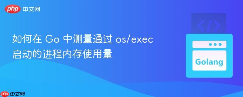 如何在 Go 中测量通过 os/exec 启动的进程内存使用量