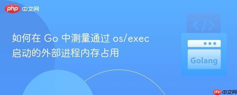 如何在 Go 中测量通过 os/exec 启动的外部进程内存占用