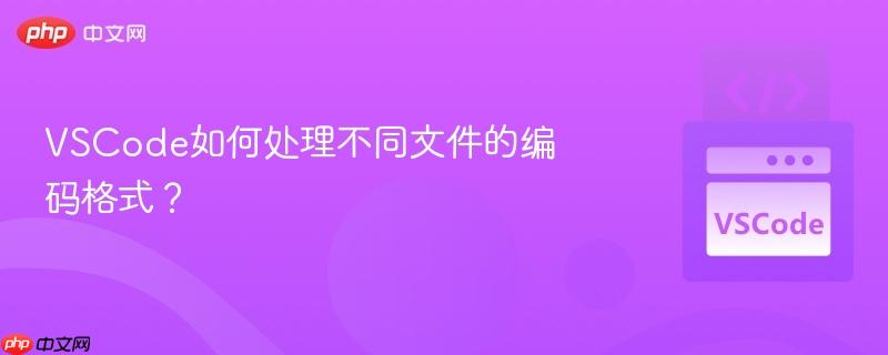 VSCode如何处理不同文件的编码格式? VSCode如何处理不同文件的编码格式?
