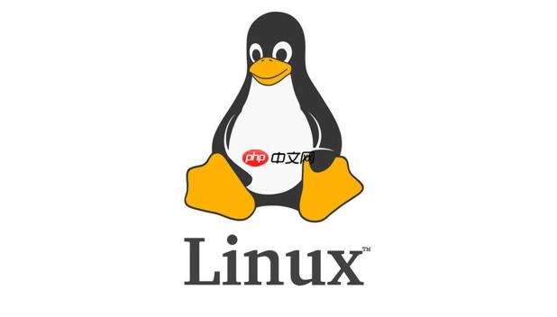 Linux系统时钟同步教程_NTPChrony时间漂移处理